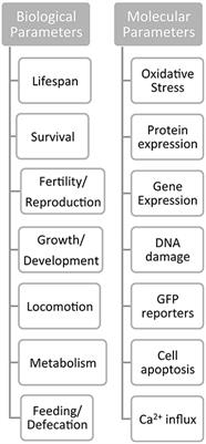 Nanomaterials in the Environment: Perspectives on in Vivo Terrestrial Toxicity Testing